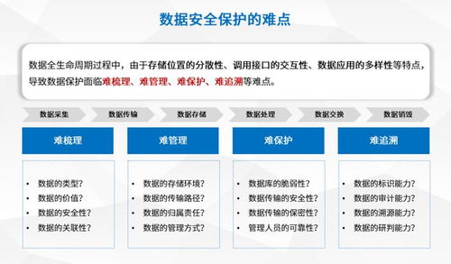 盛邦安全推出數據流轉安全服務 為數據全生命周期安全防護注入新動能
